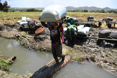 Philippine church group warns lack of El Niño response puts farmers, food security at risk