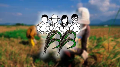 Suporta sa mga magsasaka, panawagan ng Bantay Bigas sa pamahalaan
