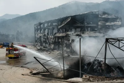 Archbishop of Seoul mobilizes relief efforts as wildfires devastate South Korea
