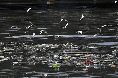 PH waste crisis an ‘ecological sin,’ Cardinal David says as country tops global ocean trash list