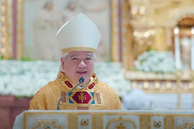 Archbishop joins calls to outlaw Pogos