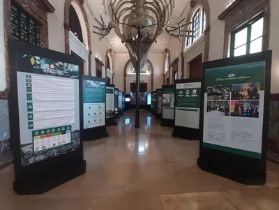 National Museum opens climate exhibit urging Filipinos to ‘redefine resilience’