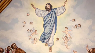 Witnessing to the salvation event became the fundamental identity of the apostles