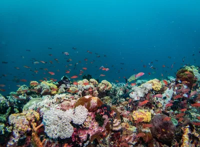 Affected communities call for ban of toxic cargo in Verde Island Passage