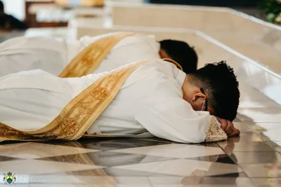 Pope calls for more collegiality in letter on priestly ministry