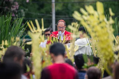 Cardinal David: Love gives meaning to suffering
