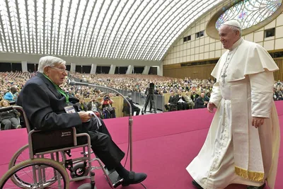 Witnesses better than initiatives in parish-based evangelization, Pope Francis says