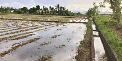 Tutukan ang Pagsasaayos ng irrigation canals, hamon ng Obispo sa pamahalaan