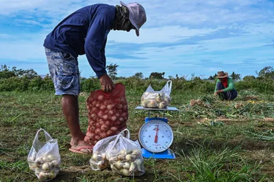 Philippines appoints fishing tycoon to top agriculture post