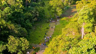 Pagtatag ng Tree Park, isinusulong ni Archbishop Uy - VeritasPH