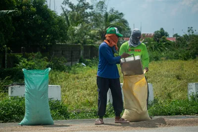 Farmers seek probe into ₱300-B backlog in farm-to-market roads