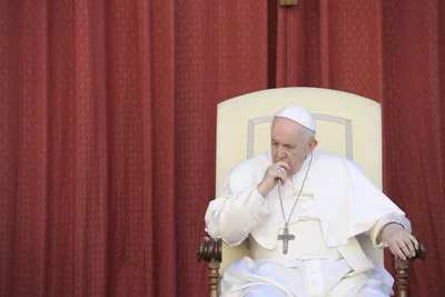 Pope Francis: Ecosystem degradation ‘a clear outcome of economic dysfunction’