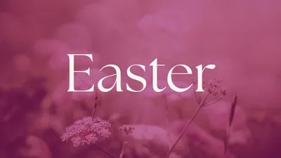 Resurrection in a Divided Land: A Call to Conversion
