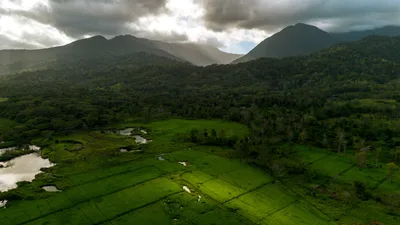 FULL TEXT: APOSTOLIC EXHORTATION – LAUDATE DEUM – OF THE HOLY FATHER FRANCIS TO ALL PEOPLE OF GOODWILL ON THE CLIMATE CRISIS