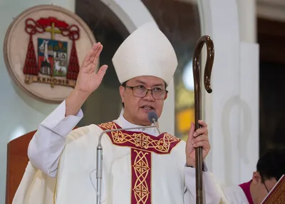 Cardinal decries ‘soft pork’ in health, social services