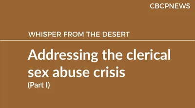 Addressing the clerical sex abuse crisis (Part I)