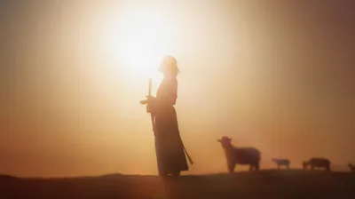 Christ gave his apostles and their successors the mission to shepherd all peoples