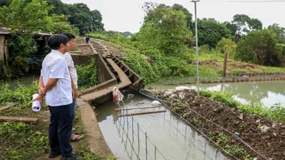 Mga sangkot sa maanomalyang flood control projects, kakasuhan ng economic sabotage - VeritasPH