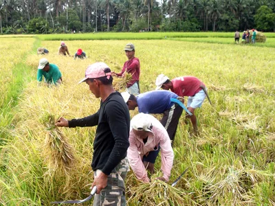 ‘Listen to cry’ of farmers, bishop urges gov’t