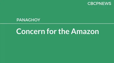 Concern for the Amazon