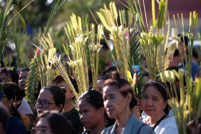 Palm Sunday and the Holy Week
