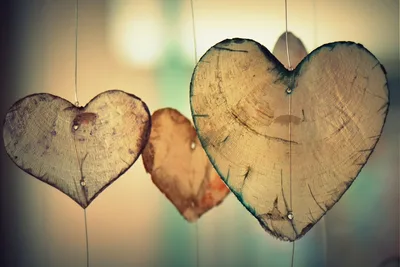 Lessons of Love for Ash Wednesday