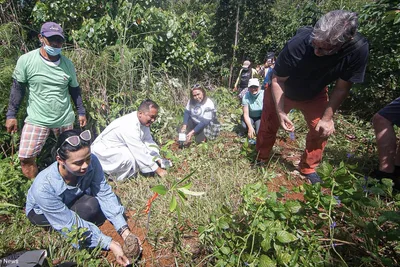Parishioners plant trees to mark 500 years of Christianity in mining island Homonhon