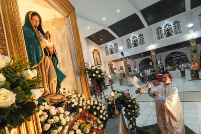 Beyond walking together, cardinal says synodality also means knowing when to stop
