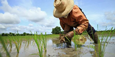 Climate mapping, panawagan ng grupo ng mga magsasaka sa pamahalaan