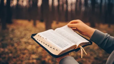Only a believer humbly accepts God as Lord and master of his life