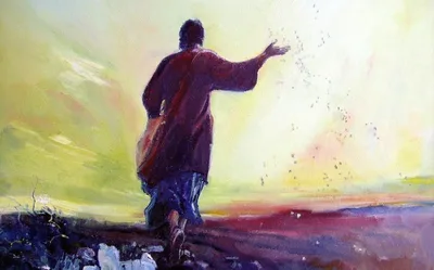 Witness and partners of God’s wonders