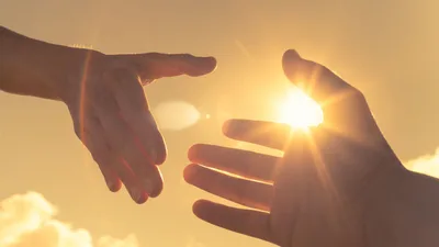 Selfless love is the novelty of true discipleship