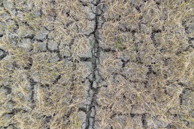 Climate scientists call for more accurate reporting on extreme weather