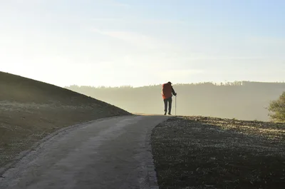 Pilgrims walking Camino de Santiago broke record in 2023
