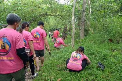 Bulacan parish plants bamboo for 500YOC