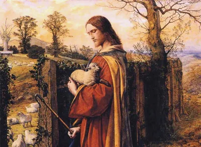 Jesus, the caring Shepherd and the gate of the Sheepfold