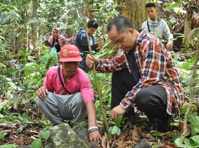 ‘Deep concern’ over coal power plant in Palawan