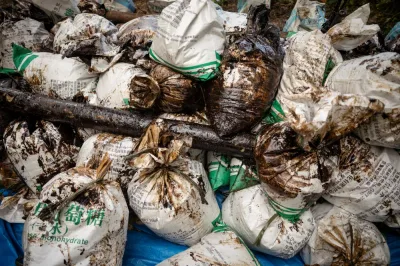 Protected area? Industry under fire for Philippine sea spill