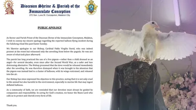 Diocesan Shrine and Parish of the Immaculate Conception, naglabas ng public apology - VeritasPH