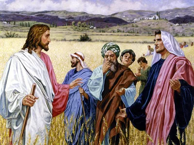 The wonder of God’s word
