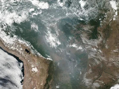 Pope, bishops urge action to save burning Amazon rainforest