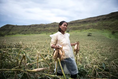 Catholic charities rally behind Philippine recovery efforts