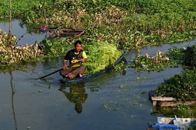 Extreme heat as ‘risk multiplier’ pushes global food systems toward crisis, UN warns
