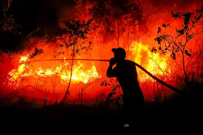 El Niño deepens regional strain as Southeast Asia battles fires and power risks