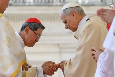 Pope Leo XIV’s global, missionary roots will benefit Church, Cardinal Tagle says