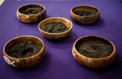 Bishop vows probe into Ash Wednesday forehead burns