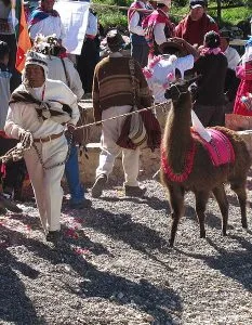 New Law in Bolivia Aims to Control Churches, Impose Beliefs, Protestant Leaders Say - Morningstar News