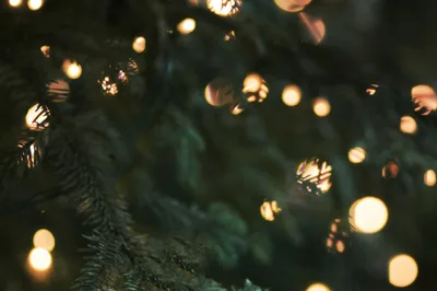 Did Christmas Really Start as a Pagan Holiday?
