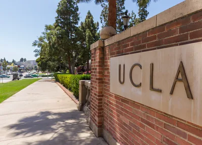 Leading DEI Official at UCLA Medical School Plagiarized Doctoral Dissertation on Diversity: Report