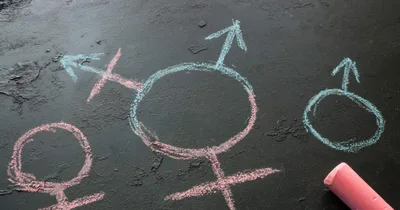 Virginia school district concedes lawsuit by Catholic student over transgender policies
